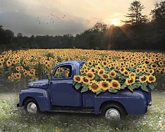 Lori Deiter LD3233 - LD3233 - Sunflower Field at Dusk - 16x12 Photography, Sunflower Field, Farm, Truck, Blue Truck, Sunflowers, Fall, Fall Flowers, Landscape from Penny Lane