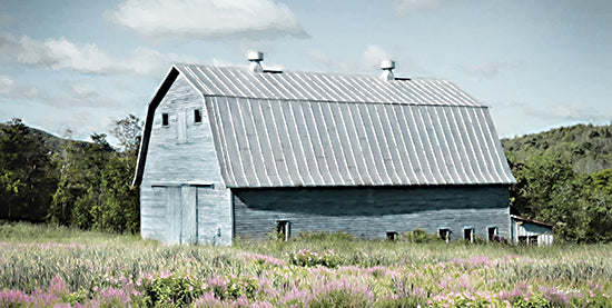Lori Deiter LD3304 - LD3304 - Spring in Vermont - 18x9 Photography, Barn, Blue Barn, Farm, Vermont, Spring, Landscape, Wildflowers from Penny Lane