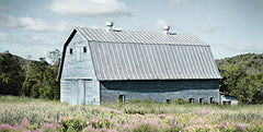 LD3304 - Spring in Vermont - 18x9