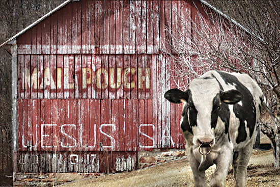 Lori Deiter LD3327 - LD3327 - Mail Pouch Barn   - 18x12 Barn, Red Barn, Farm, Photography, Mail Pouch Barn, Typography, Signs, Textual Art, Bull, Black & White Bull from Penny Lane