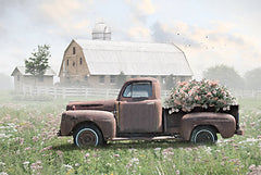 LD3334 - Hazy Summer Day - 18x12