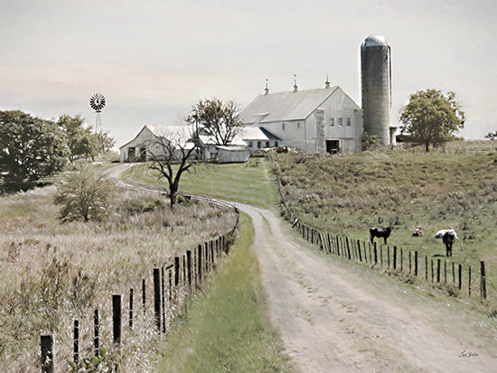 Lori Deiter LD3342 - LD3342 - Steer Clear - 16x12 Photography, Farm, Barn, Road, Cows, Grazing, Windmill, Fence, Landscape from Penny Lane