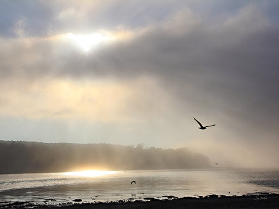 Lori Deiter LD3349 - LD3349 - Foggy Bar Harbor - 16x12 Photography, Coastal, Landscape, Ocean, Coast, Beach, Birds, Sky, Clouds, Sunlight, Foggy Bar Harbor from Penny Lane