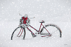 LD3410 - Lighted Christmas Bike - 18x12