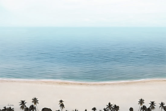 Lori Deiter LD3428 - LD3428 - Calm Beach - 18x12 Photography, Landscape, Ocean, Coast, Trees, Palm Trees, Beach, Sand from Penny Lane