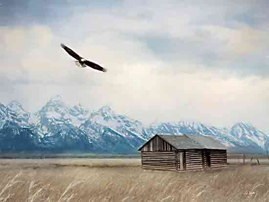 Lori Deiter LD3465 - LD3465 - Moulton Cabin  - 16x12 Photography, Landscape, Mountains, Eagle, Cabin, Log Cabin, Field, Nature from Penny Lane