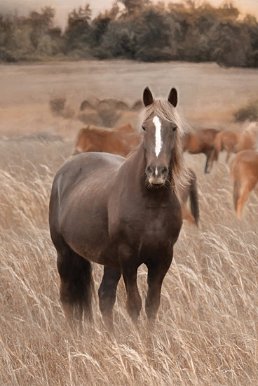 Lori Deiter LD3485 - LD3485 - Hazy Day Horse - 12x18 Photography, Horses, Brown Horse, Portrait, Landscape from Penny Lane
