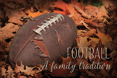 LD636 - Football - A Family Tradition - 18x12