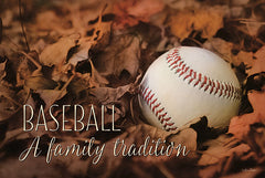 LD698 - Baseball - A Family Tradition - 18x12
