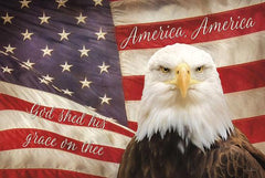 LD711GP - American Eagle Flag