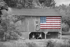 LD774 - Patriotic Farm I - 18x12