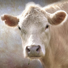 LD879A - Up Close Cow - 12x12