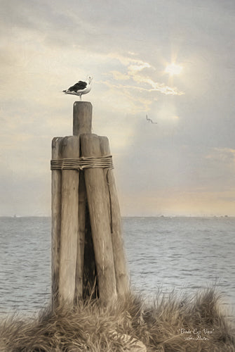 Lori Deiter LD923 - Birds Eye View - Bird, Water, Sun, Post, Landscape, Coastal, Photography from Penny Lane Publishing