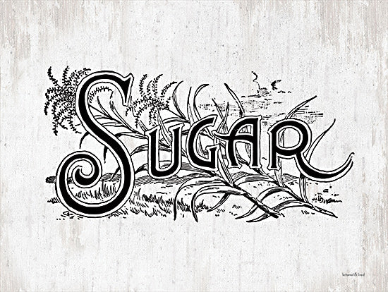 lettered & lined LET313 - LET313 - Sugar - 16x12  Sugar, Sugar Canes, Typography, Kitchen, Sketch, Signs from Penny Lane