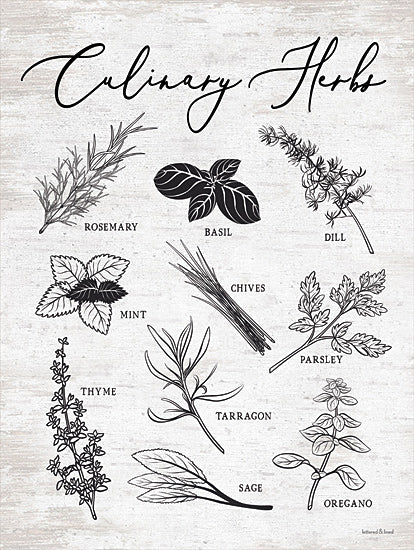 lettered & lined LET335 - LET335 - Culinary Herbs - 12x16 Culinary Herbs, Herbs, Kitchen, Types of Herbs, Typography, Signs from Penny Lane