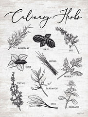 LET335 - Culinary Herbs - 12x16