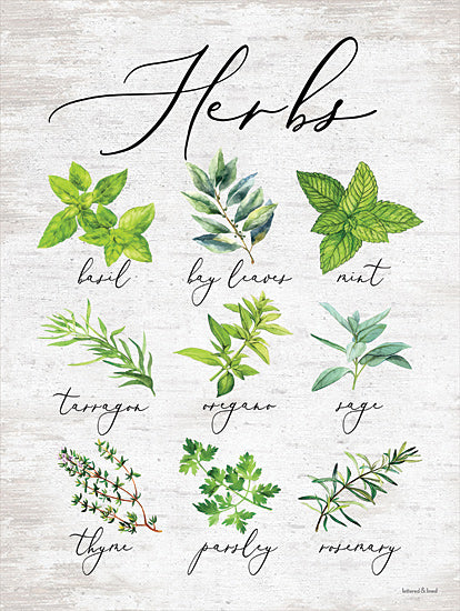 lettered & lined LET336 - LET336 - Herbs - 12x16 Culinary Herbs, Herbs, Kitchen, Types of Herbs, Typography, Signs from Penny Lane