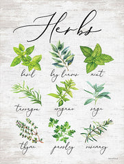 LET336 - Herbs - 12x16