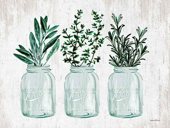 lettered & lined LET337 - LET337 - Herb Trio - 16x12  Herb Trio, Ball Jars, Jars, Still Life, Herbs, Country, Kitchen, Neutral Palette from Penny Lane