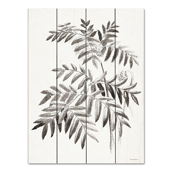 lettered & lined LET550PAL - LET550PAL - Leaf Illustration I - 12x16 Leaves, Sketch, Botanical from Penny Lane