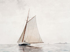 LET559LIC - Sailing Excursion - 0