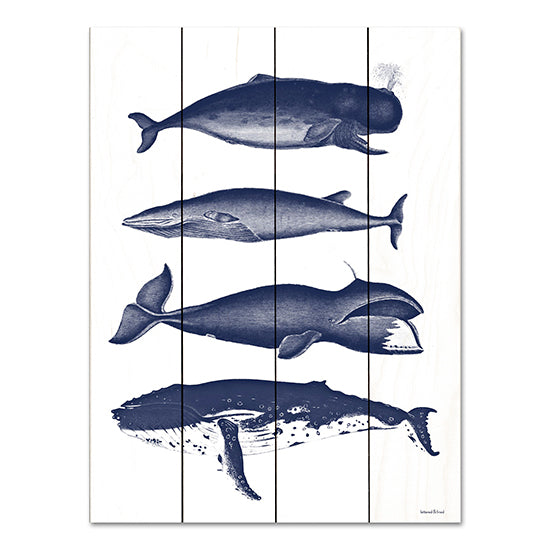 lettered & lined LET564PAL - LET564PAL - Whales - 12x16 Whales, Different Types of Whales, Coastal, Blue & White, Aquatic Animals from Penny Lane