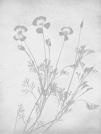 Lee Keller LET664 - LET664 - Retreat Botanical 10 - 12x16 Nature, Botanical, Wildflower, Silhouette, Neutral Palette from Penny Lane