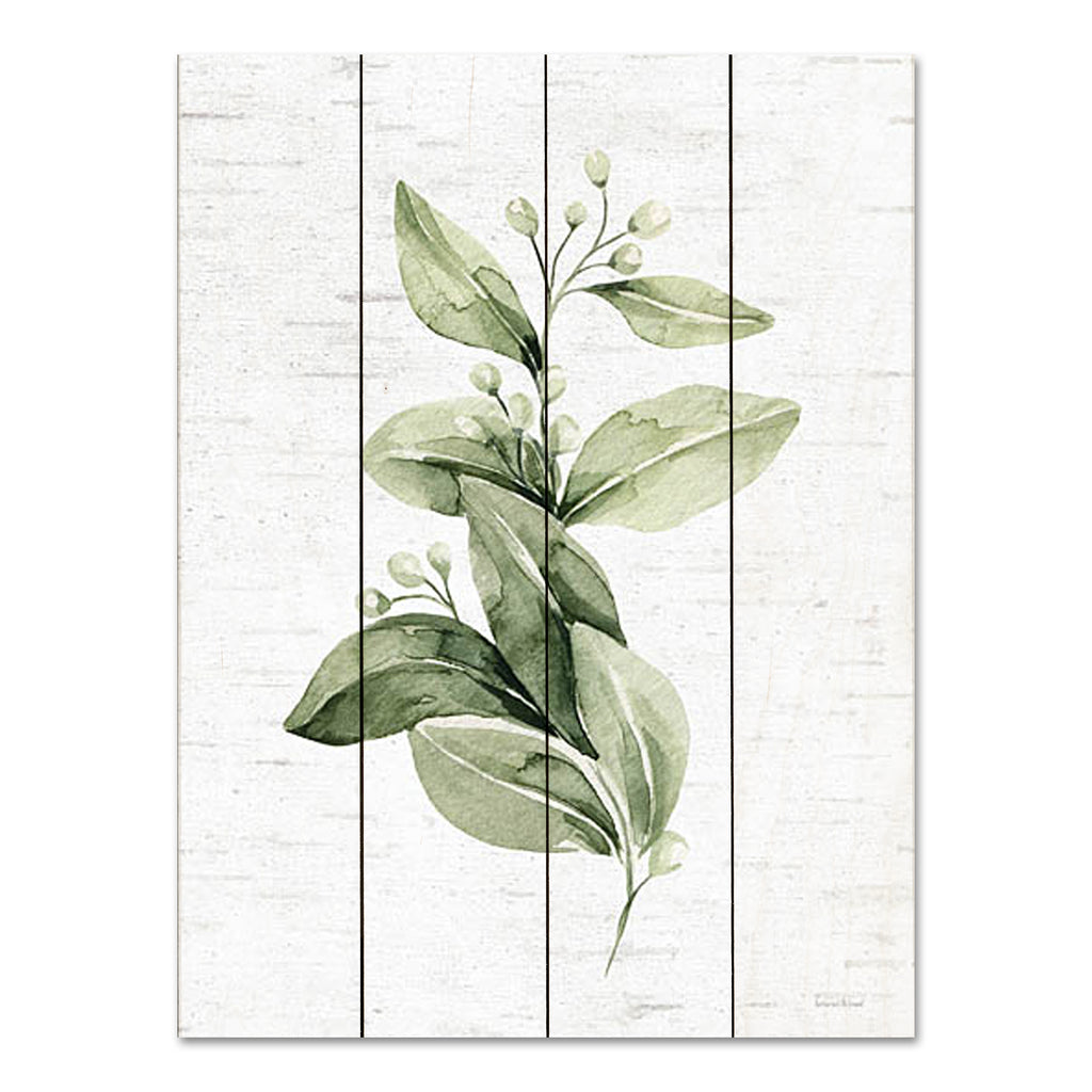 lettered & lined LET675PAL - LET675PAL - Leafy Retreat 5 - 12x16 Nature, Botanical, Wildflower, Greenery, Silhouette, Neutral Palette from Penny Lane