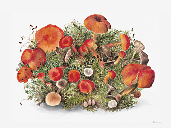 lettered & lined LET786 - LET786 - Magic of Mushrooms II - 16x12 Mushrooms, Red Mushrooms, Nature from Penny Lane