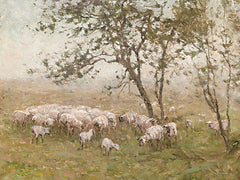LET807 - Pastoral Sheep Scene - 16x12