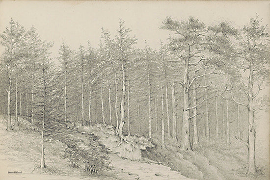 lettered & lined LET859 - LET859 - Secluded - 18x12 Landscape, Trees, Hill, Forest, Sketch, Drawing Print, Black & White from Penny Lane