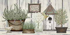 LS1843 - Collection of Herbs - 18x9