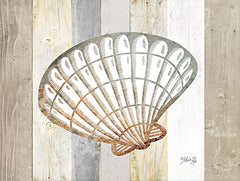 MAZ5826 - Coastal Shell II - 16x12