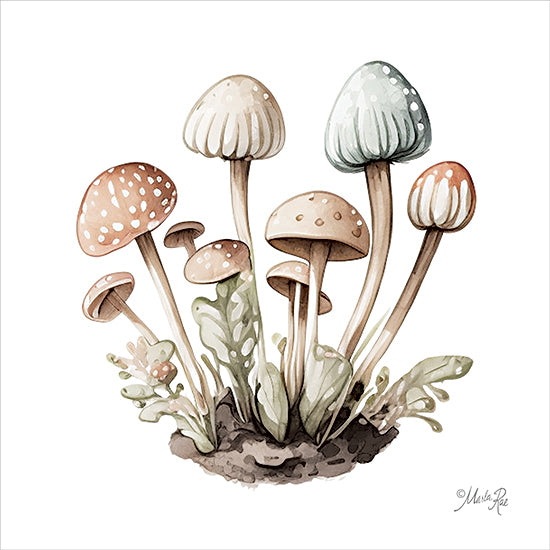 Marla Rae MAZ5965 - MAZ5965 - Mellow Mushrooms - 12x12 Mushrooms, Nature, Greenery, Mellow Mushrooms from Penny Lane