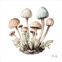 MAZ5965 - Mellow Mushrooms - 12x12