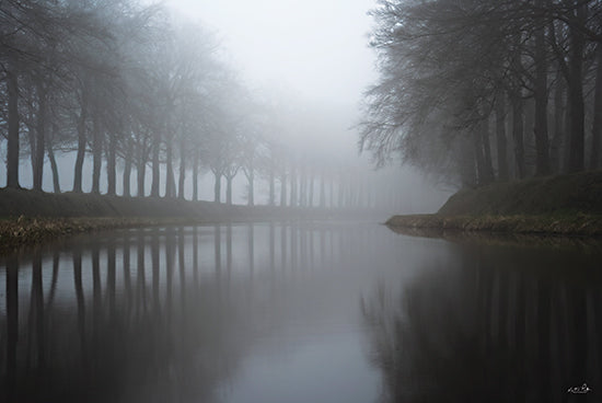 Martin Podt MPP1026 - MPP1026 - Into the Quietness - 18x12 Photography, Landscape, River, Trees, Reflection, Fog, Into the Quietness, Muted Colors from Penny Lane
