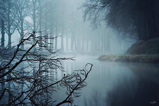Martin Podt MPP1027 - MPP1027 - The Last Dance - 18x12 Photography, Landscape, River, Trees, Reflection, Fog, The Last Dance, Muted Colors from Penny Lane