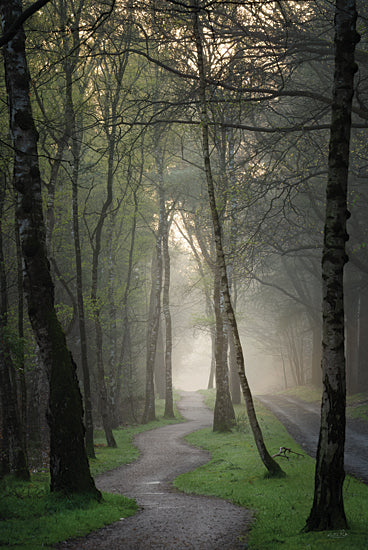 Martin Podt MPP1041 - MPP1041 - Winding Through Spring - 12x18 Photography, Forest, Trees, Roads, Paths, Landscape, Nature, Spring, Winding Through Spring from Penny Lane