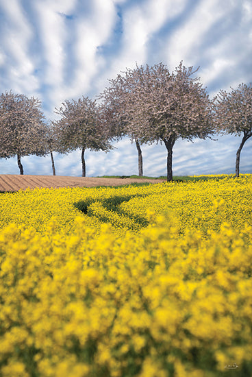 Martin Podt MPP1043 - MPP1043 - Spring Dreams - 12x18 Photography, Landscape, Trees, Flowers, Yellow Flowers, Sky, Clouds, Spring, Spring Flowers, Spring Dreams from Penny Lane