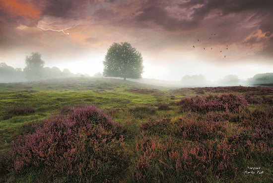 Martin Podt MPP223 - Fairyland - Tree, Hills, Landscape, Nature, Photography, Trees, Path from Penny Lane Publishing