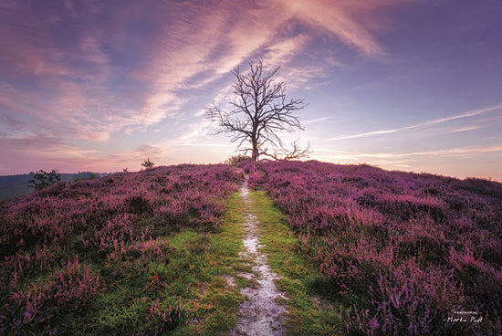 Martin Podt MPP224 - Treemendous - Tree, Path, Purple, Landscape, Nature, Photography, Trees from Penny Lane Publishing