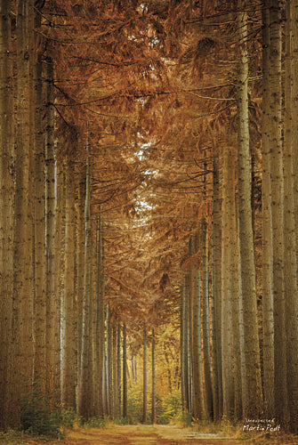 Martin Podt MPP258 - Unexpected - Tree, Path, Landscape, Nature, Photography, Trees from Penny Lane Publishing