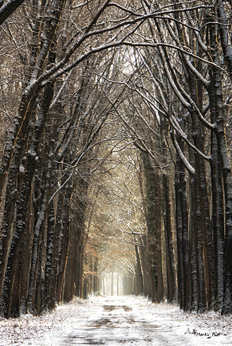 Martin Podt MPP268 - Winter - Tree, Snow, Trees, Path, Landscape, Nature, Photography, Trees, Winter from Penny Lane Publishing