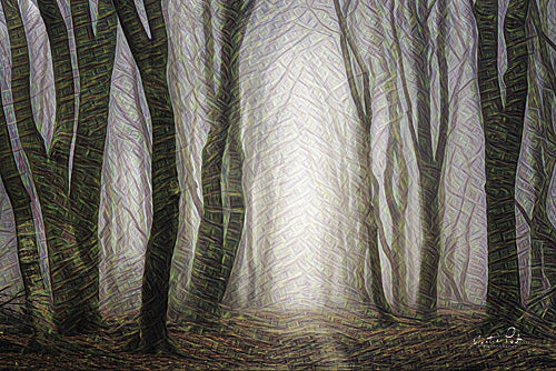 Martin Podt MPP327 - Forest Dreams - Trees, Misty, Landscape, Forest from Penny Lane Publishing