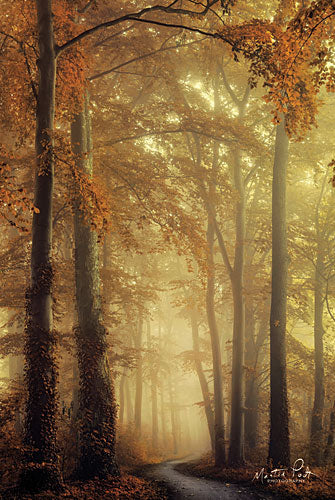 Martin Podt MPP350 - The Path of Liberation - Trees, Forest, Path, Autumn from Penny Lane Publishing
