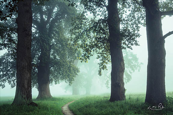 Martin Podt MPP354 - Around the Bend - Trees, Fog, Path from Penny Lane Publishing