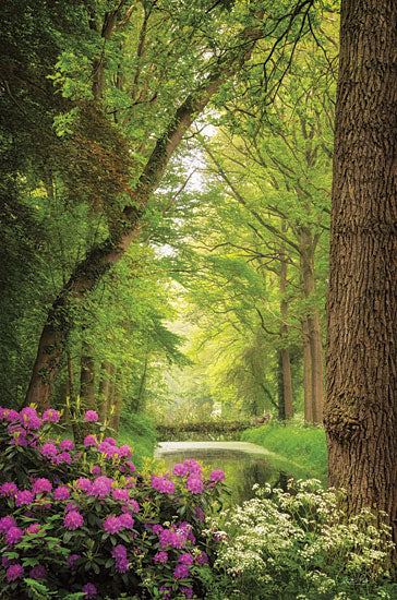 Martin Podt MPP814 - MPP814 - Springtime Morning - 12x18 Photography, Trees, Springtime, Spring, Forest, Landscape from Penny Lane