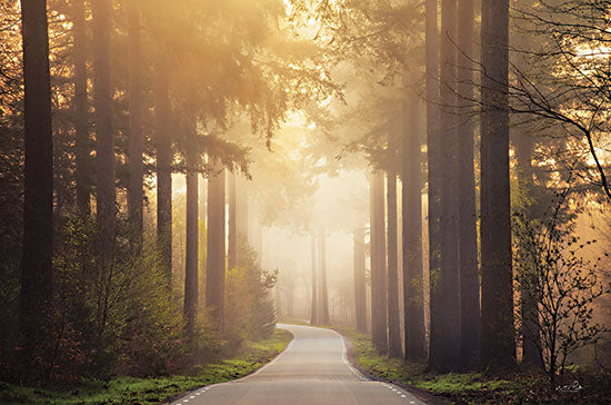 Martin Podt MPP820 - MPP820 - The Gate to Spring - 18x12 Photography, Path, Trees, Sunlight, Forest, Landscape, Spring, Springtime from Penny Lane