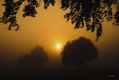 MPP836LIC - Foggy Sunrise - 0