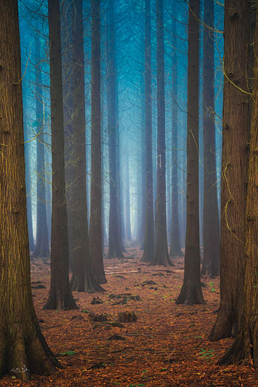 Martin Podt MPP864 - MPP864 - Trees Everywhere - 12x18 Forest, Wood, Trees, Leaves, Blue Light, Photography, Nature, Landscape from Penny Lane